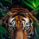 인목1로 이미지