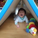 +282, 후기이유식) 양송이고구마시금치죽, 쇠고기과일무른밥, 닭청경채무른밥