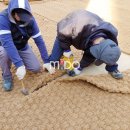 대학약국 이미지