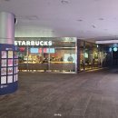 뉴욕야시장창원중앙점 | 창원 카공 추천 스타벅스 시티세븐점 주차 뉴욕파스트라미 샌드위치 후기 2026년 신상 발렌타인 MD