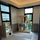 냥냥스테이 이미지