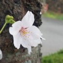 비양도모텔 이미지