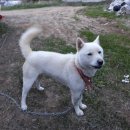 산천농장 이미지