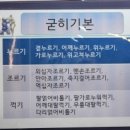 용인대 양천유도관 이미지