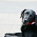 권순호농장 이미지