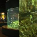 하모니-풍경 이미지