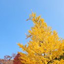 성주사 회귀형 숲길 이미지