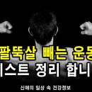 편리했던 '팔뚝살 빼는 운동' 리스트 이미지