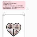 위드미세이프