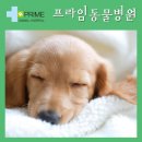 정서동물병원 이미지