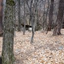 가는골1 이미지