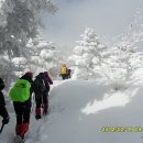 제주도 한라산,올래길 이미지