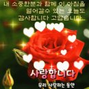 오늘도행복