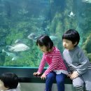 루아어린이집 이미지