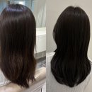 마린시티2로47 | 해운대미용실 바이어스 퍼스널컬러 염색 해주는 곳 웨딩염색 마린시티 미용실 추천 💖
