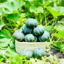 남해-312 이미지