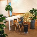 카페유나드 이미지