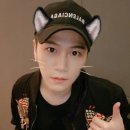 단디코리아 이미지