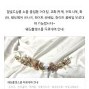 알레헤어살롱 | W6 / 서울 경기 인천 야외 웨딩스냅 알레그라피+ 출장 헤메 달빛드살롱 예약 완료한 후기