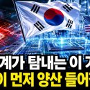 유리기판 기술 패권 한국이 쥔다 전 세계가 탐내는 미래 반도체 먼저 양산합니다 이미지