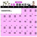 [제주] 중문해수욕장 서핑 | 커플 왕초보 강습 성공 후기 | 제주서핑스쿨 강추