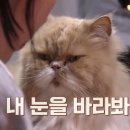 지은민박 이미지