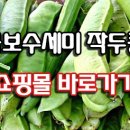 ◆[비염,축농증] 더욱 강력해진 곰보수세미 작두콩◆ 신기하네요. 이미지