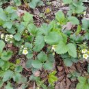 한길농장 이미지