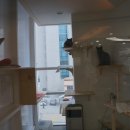 부산동물메디컬센터 이미지