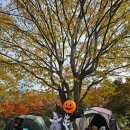 박석캠핑장 | 파주 박석캠핑장 어린이를 위한 할로윈캠핑 늦은 후기