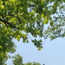 영신당약국 이미지