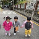 11.5 삼성래미안 아파트, 산수유 열매관찰 이미지