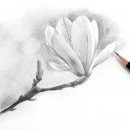 연필그림초급 이미지