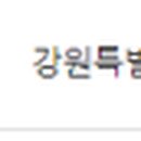 복골양지마을메밀국수