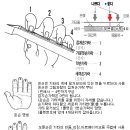 통기타 기초 이미지