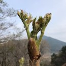 삼순농장 네이버블로그