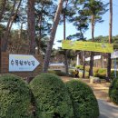 안면도수목원 아기랑 봄나들이 후기 (주차, 입장료)