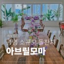 아브릴케이크 | 광명 소규모 돌잔치 아브릴모마 답사 후기 (계약 완료)
