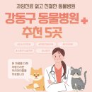 박형우동물병원 | 강동구 동물병원 추천 5곳 -과잉진료없고 휴일 야간 진료