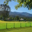 가평파크골프장(관외) 이미지