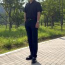 다니엘 웰링턴 시계 실착 후기! 직장인 남자 시계 품격을 완성하다