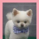 깍까독 이미지
