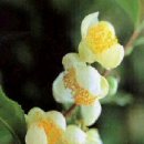 백현기농장 이미지