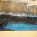 장어셀프타운(고읍점) 이미지