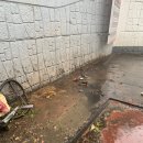 터미널세차장 이미지