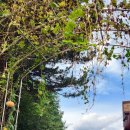 강원도 횡성군 횡성읍 문정로19번길 이미지