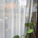 스테레오타입오브부산 이미지