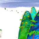 디자인벗