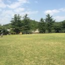 오각놀이공원 이미지