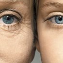 자글자글 이미지